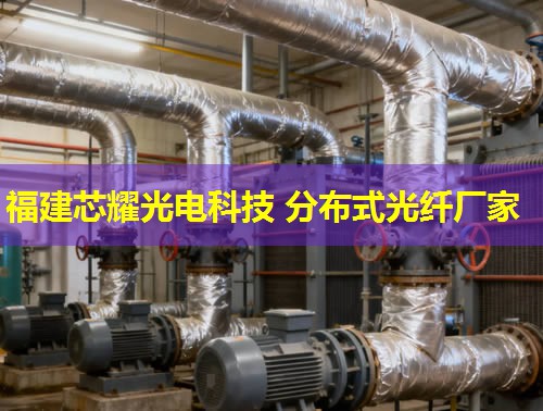 光纖分布式測溫裝置：精準監(jiān)控，安全無憂的溫度守護者