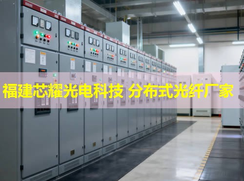 咸寧地區(qū)分布式光纖規(guī)格詳覽，行業(yè)應(yīng)用標準解讀與趨勢分析