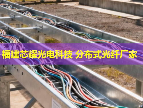 光纖管道應(yīng)力監(jiān)測(cè)技術(shù)進(jìn)展與應(yīng)用研究